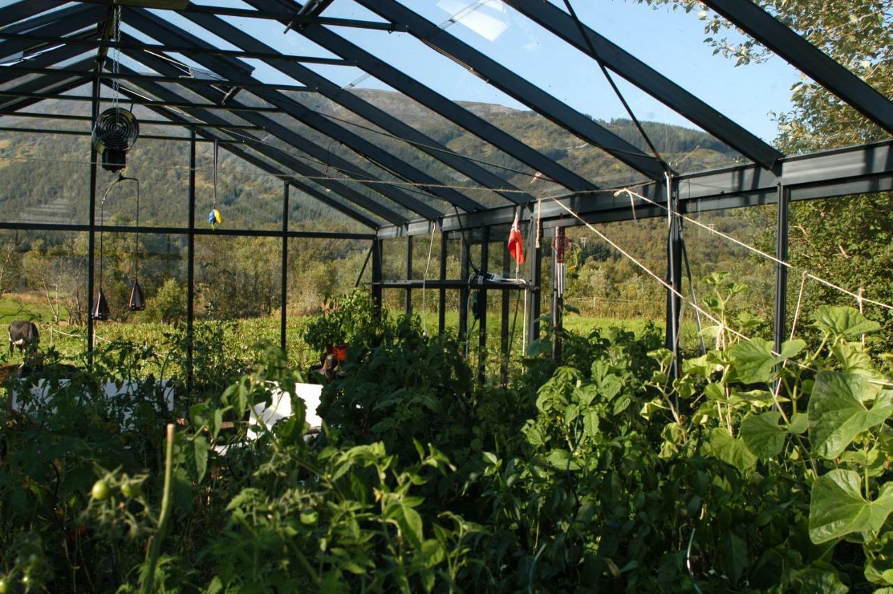 Art Studio Sortland Bagian luar foto